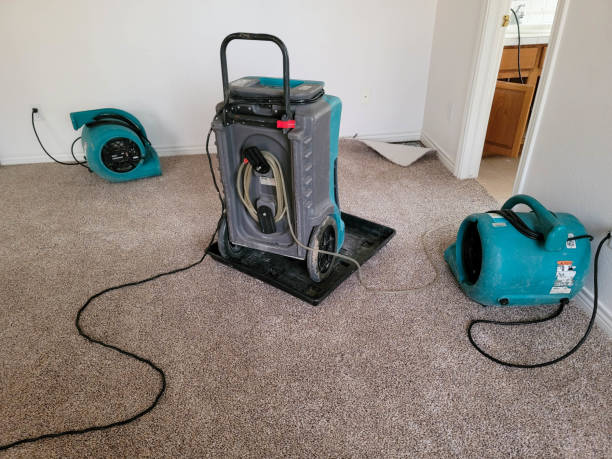 Best Water damage restoration process  in South Ack, NY