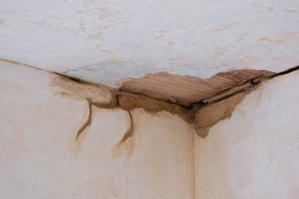Best Basement water damage restoration  in South Ack, NY