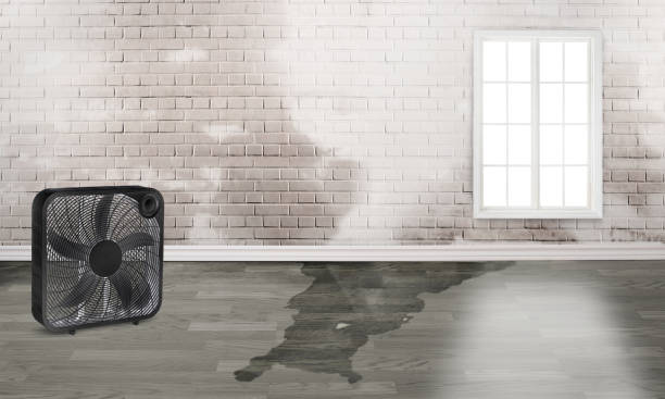 Best 24-hour water damage restoration  in South Ack, NY