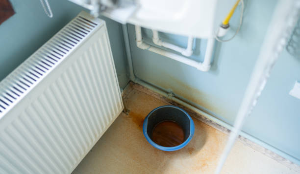 Best Mold removal after water damage  in South Ack, NY