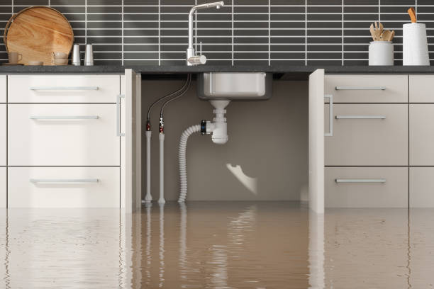 Best Water damage restoration near me  in South Ack, NY