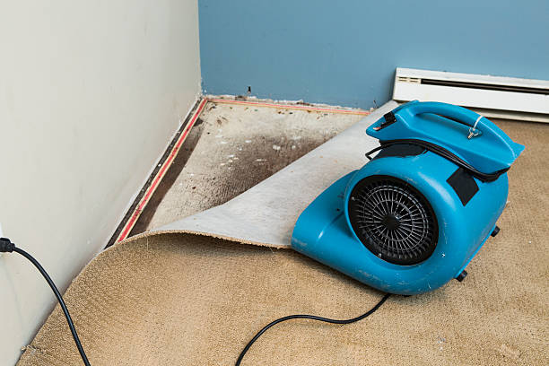 Best 24-hour water damage restoration  in South Ack, NY
